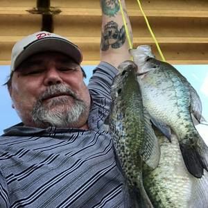 Meet your Posher, Billy